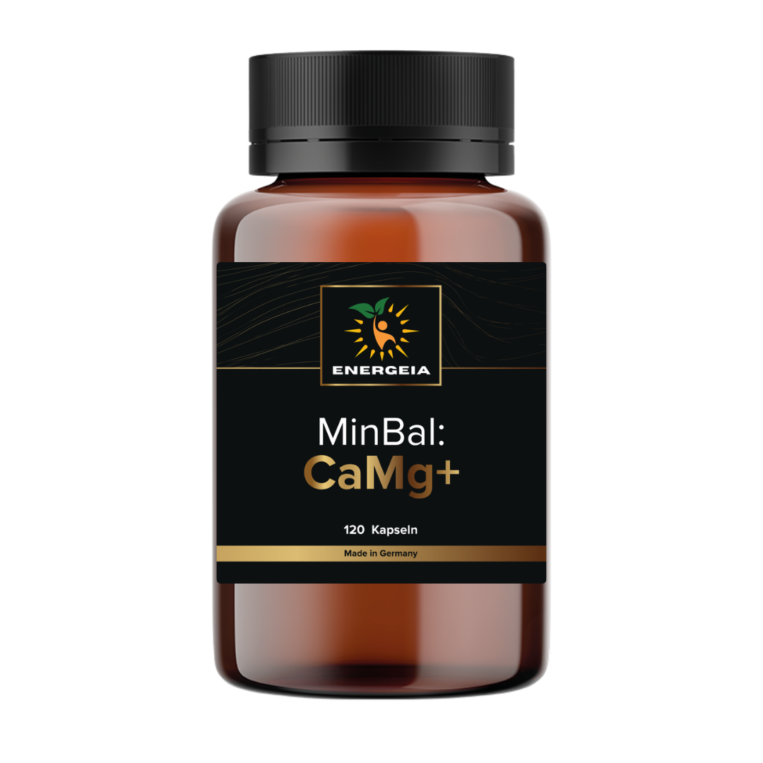 Design ohne Titel (42)